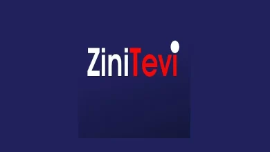 download Zinitevi