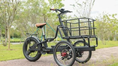 3 wheel electric bike