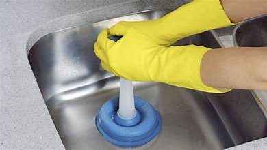 Keeping Your Plunger Clean