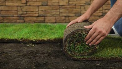 What Are the Benefits of Sod Installations in Los Angeles?