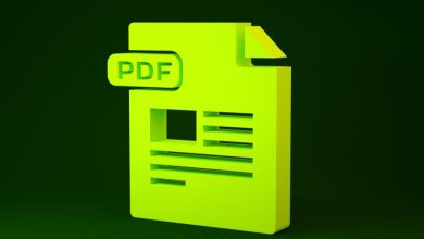 The Power of Portability: Workshop Manuals in PDF Format