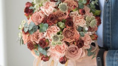 WhatsApp Image 2024 01 31 at 3.13.32 PM