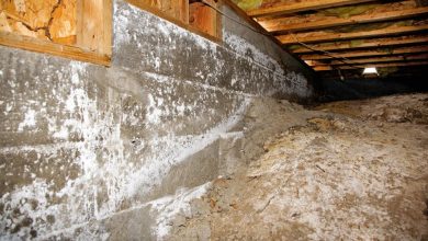 Mold Inspectors vs. DIY: Why You Should Hire a Pro