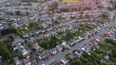 Lutron Lighting System Guide: Smart Lighting Solutions for Every Room