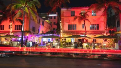 The Ultimate Guide to Miami’s Landscape and Pool Lighting Trends