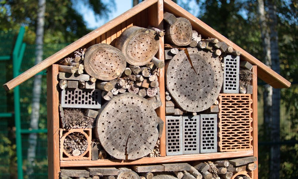 Bug & Sun Protection: The Essentials for Outdoor Activities