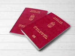 US Visa for CITIZENS OF HUNGARY