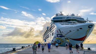 Essential Visa Information for Cruise Ship Visitors and Ayurveda Enthusiasts