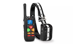 Electric Dog Training Collar
