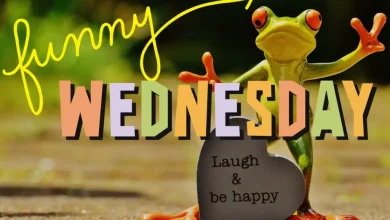 wednesday quotes funny3